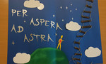 Per aspera ad astra