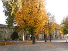 Stuttgart - Schlosspark